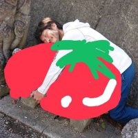 トマトのたねや(@tomatonotaneya) 's Twitter Profile Photo