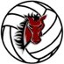 LSN Boys Volleyball (@boysvball_lsn) Twitter profile photo LSN Boys Volleyball (@boysvball_lsn) Twitter profile photo