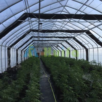 FridaZhao3's profile picture. This is Frida from Zhengzhou HuiFa machinery Co., Ltd, manufaturer of greenhouses over 10 years. Supply 100% blackout greenhouse. Email: business@lightdepgh.com