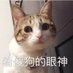 一顆蛋 不會疼 (@timesentra) Twitter profile photo