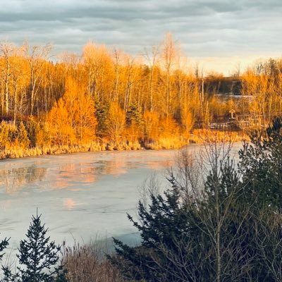 rafael_fabregas's profile picture. The opinions expressed herein are my own. RTs are not endorsements. And no legal advice being given here. Mastodon: @rafaelfabregas@universeodon.com