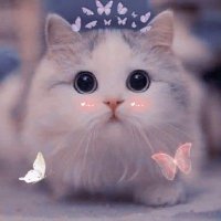 Xxthea007xX (@xxthea007xx) 's Twitter Profile