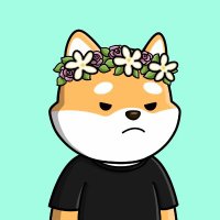 5 Star Crypto (@5starcrypto1) 's Twitter Profile