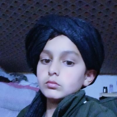 tttt29815095's profile picture. 