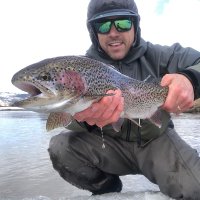 TightLines(@bigbearofficia1) 's Twitter Profile Photo