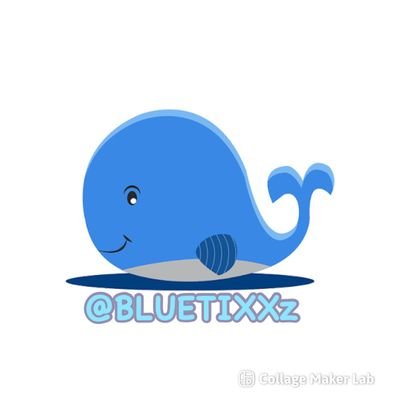 pagii_bluetic's profile picture. 