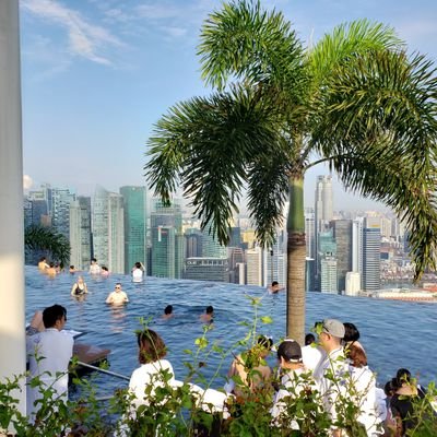 mkpkroulette's profile picture. Traveler. Recreational poker, roulette & Foldit player. Sands D. Tier. Season 20 WPT Tokyo Main Event etc. ITM. Mainly playing in SG, sometimes in KR/TW/VN/JP.