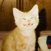 CandleXander (@sketch_mumbles) 's Twitter Profile