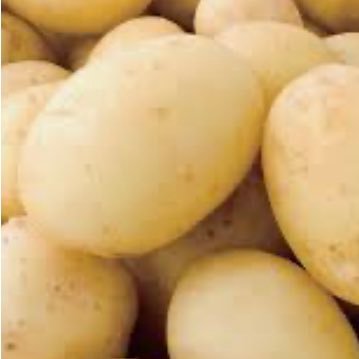 talk_gamza's profile picture. 깜찍이 자살 /open.kakao.com/o/sNn7eF8e