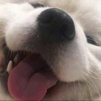 น้องไข่เจียว (@nxngnono16) 's Twitter Profile