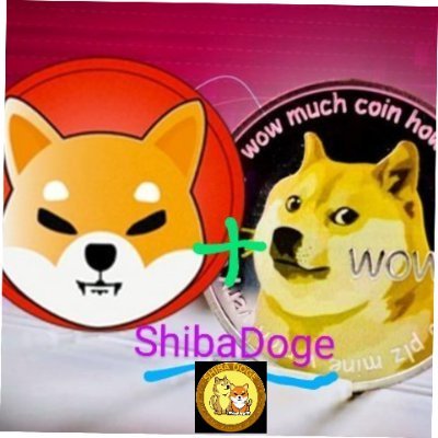 Don't miss #ShibaDoge !
Shiba Inu + Doge = ShibaDoge!!!!

https://t.co/rHpVuwKbqi
🌙🌙🌙
https://t.co/bGMRAsWH4b