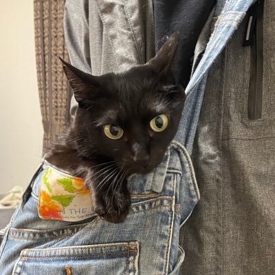 Chihiroさんのプロフィール画像