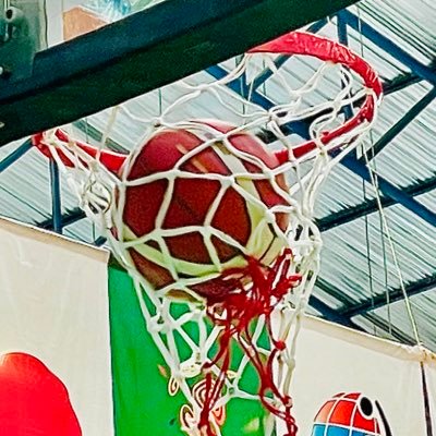 元車いすバスケットボール男子日本代表M.C選手が名付け親の「🍣すしこ」がお気に入り🏀車いすバスケをもっと知りたい！もっと魅力を伝えたい！と熱さ全開で国内外問わず現場を駆け回っているJWBF OFFICIAL兼スポーツライター🖋関東連盟のカメラ担当📸一人でも多くの方に情報をお届けできたら嬉しいです！