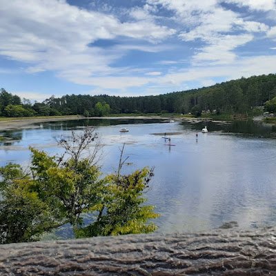 A2aifk's profile picture. 