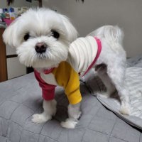 River (@lolriver) 's Twitter Profile