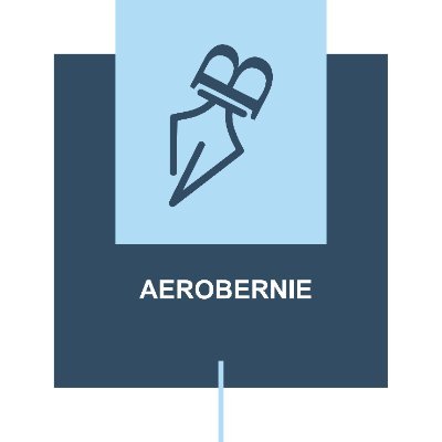 AeroBernie_ Profile Picture