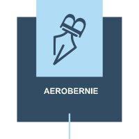 Aerobernie ✈️(@AeroBernie_) 's Twitter Profile Photo