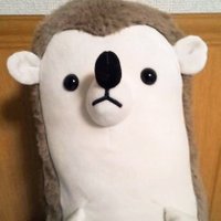 しげしげ (@nogiforce) Twitter profile photo