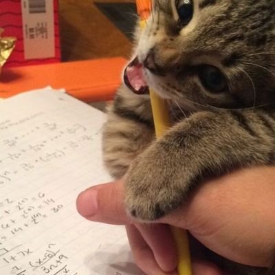 _zerochills__'s profile picture. exigency