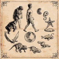 Evolution Of Life (@evoiutlon) 's Twitter Profile