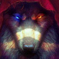 Gray Wolf (@graywolf_eth) 's Twitter Profile