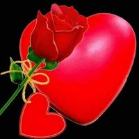 masud masud (@masudma46065566) 's Twitter Profile