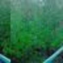 Eugene Wise - @EugeneW44246078 - Twitter