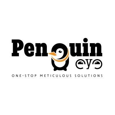 If you are looking for the best website design, development, and marketing services to grow your business online...
PenguinEYE – one-stop meticulous solutions.