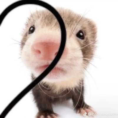 keep_vibes's profile picture. 