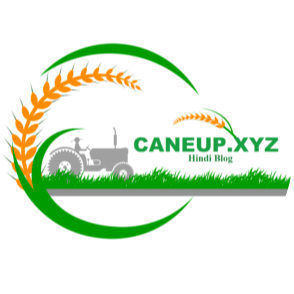 Cane-up.xyz