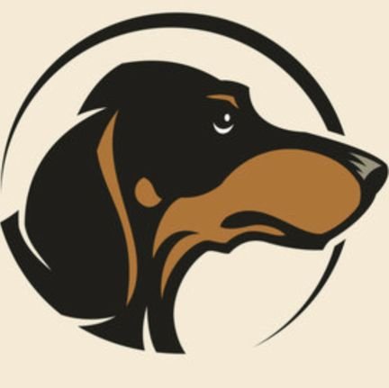 Experienced dog and cat breeder specifically the dashchunds. 15 years of experience