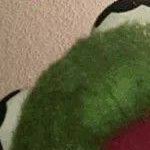 plGegen (@erinbla26202674) 's Twitter Profile