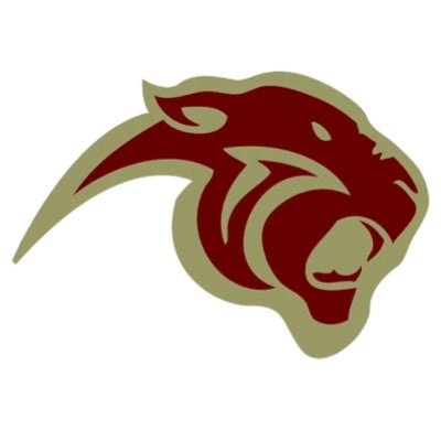 Pelion_Baseball Profile Picture