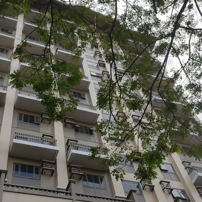 TopDaddi's profile picture. ⚖️
Death is Better than Stupidity🤔🫣😁