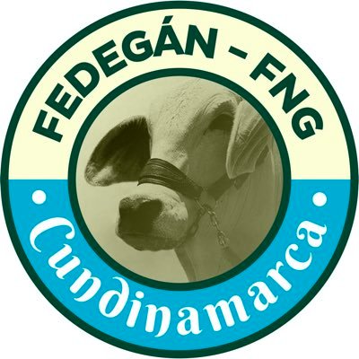 fedegancundi Profile Picture