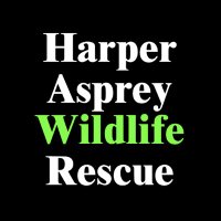Harper Asprey Wildlife Rescue(@HAwildlife) 's Twitter Profile Photo