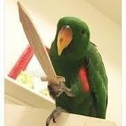 gryygoo's profile picture. 🐈