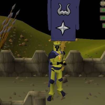 co-owner of w383 hub castle wars clan.