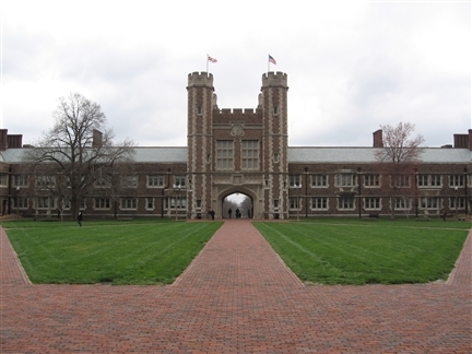 A collection of Wash U's craziest and weirdest students doing what they do best