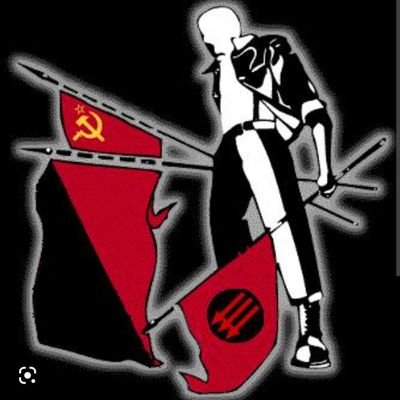 ClaudioAF1's profile picture. S.H.A.R.P Red SkinHead  ANTIFA 🖤❤️✊🏼