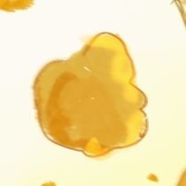 유순콘🍿さんのプロフィール画像