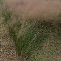 vi351 (@vic3516) 's Twitter Profile