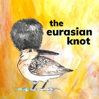 The Eurasian Knot (@euraknot.bsky.social)(@euraknot) 's Twitter Profile Photo