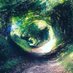 Wilderlands (@rewilderlands) Twitter profile photo Wilderlands (@rewilderlands) Twitter profile photo