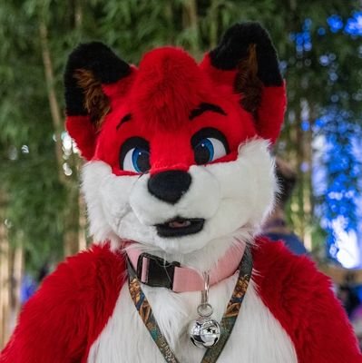 (28 he/she/they) Molecular Neuroscience Researcher --- Masters in Molecular Biology --- 🔜 Med School --- Suit by @fursuitsbylacy ---