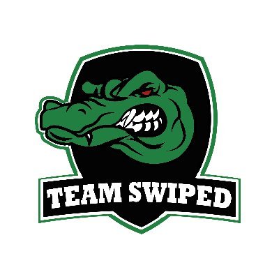 (OFFLINE) Team Swiped Profile