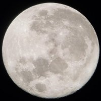 ᑎ Λ S C Ξ ᑎ 7 (@nascen7) 's Twitter Profile