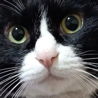 july_jo (@july__jo) 's Twitter Profile Photo july_jo (@july__jo) 's Twitter Profile Photo