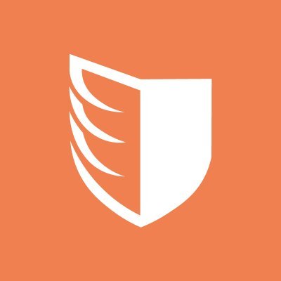 paladindrones's profile picture. 