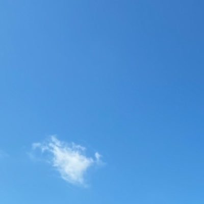 不知火ぬいさんのプロフィール画像